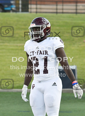 DLS_4517