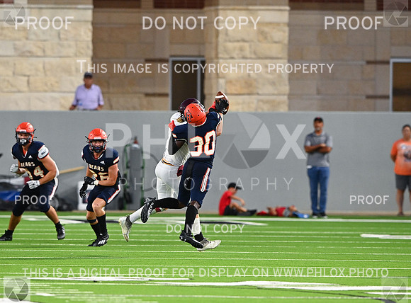 DLS_3006