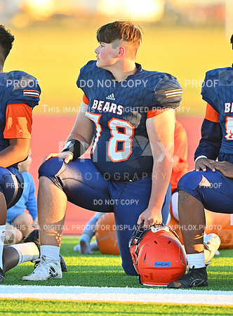 DLS_1227