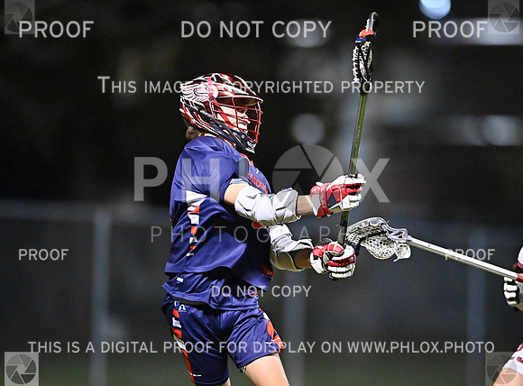 DLS_0409