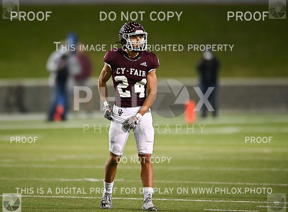 DLS_0815