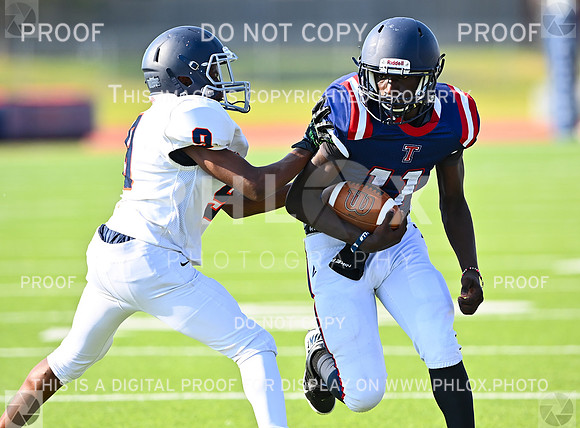 DLS_0419