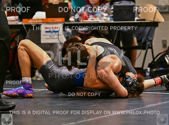 DLS_6231