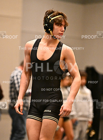 DLS_6195