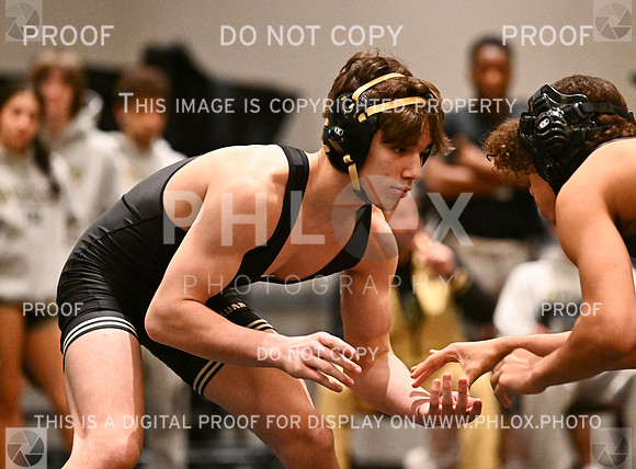 DLS_6199