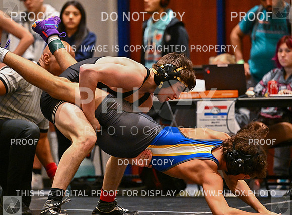 DLS_6229
