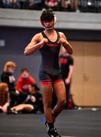 FDS_7479