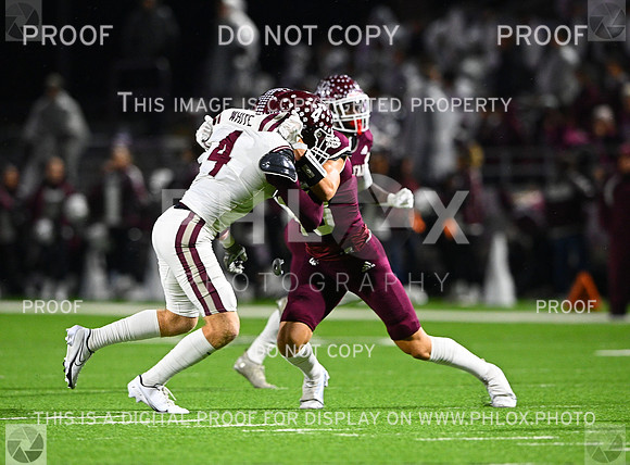 DLS_7292-2