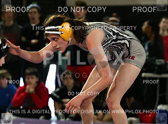 DLS_8823