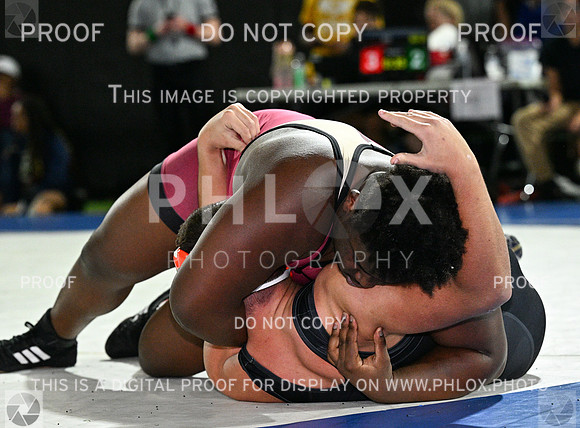DLS_9399