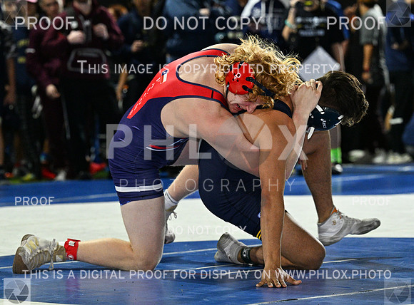 DLS_8968