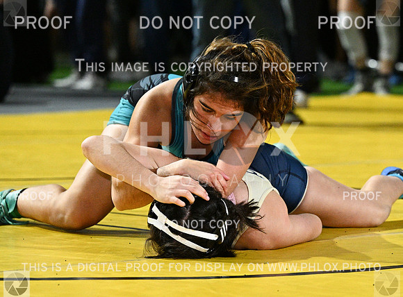 DLS_8930