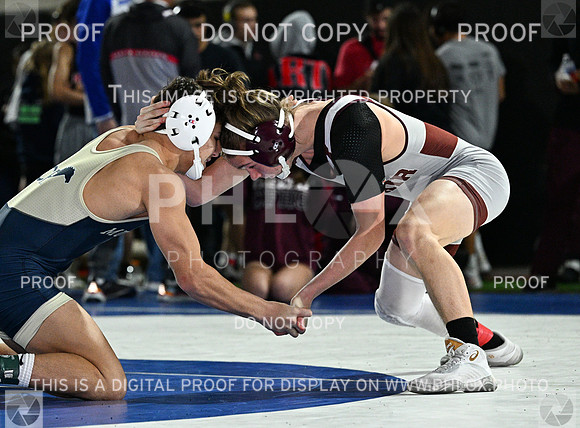 DLS_9198