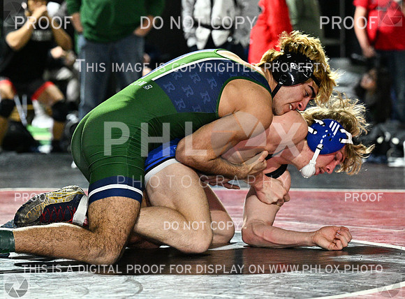 DLS_8845