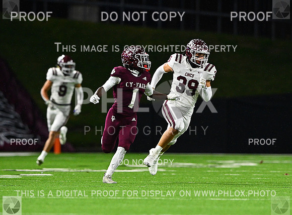 DLS_7915-2