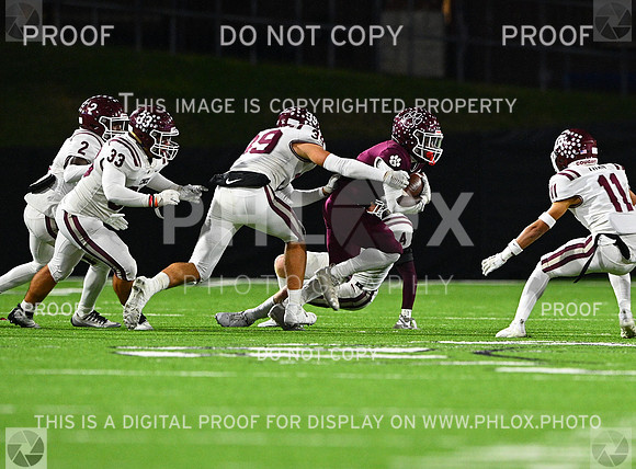 DLS_7923