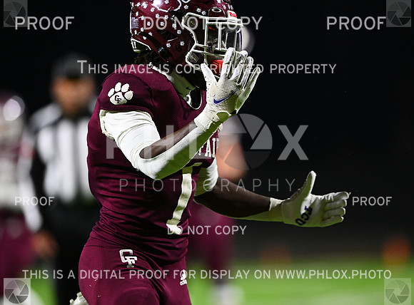 DLS_7315-2