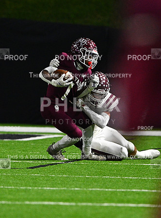 DLS_8460