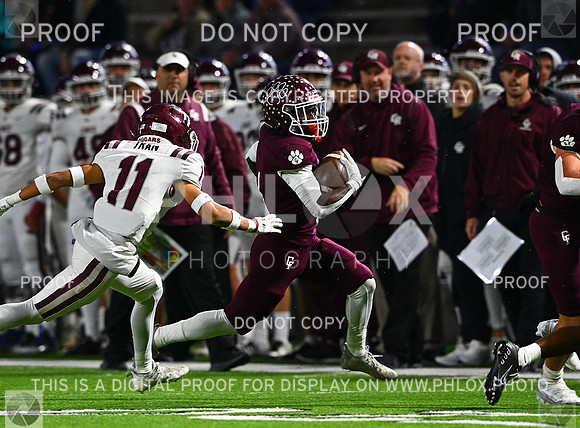 DLS_7297-2