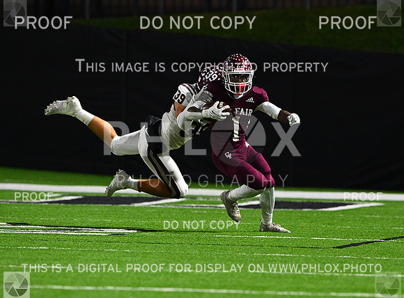 DLS_8458