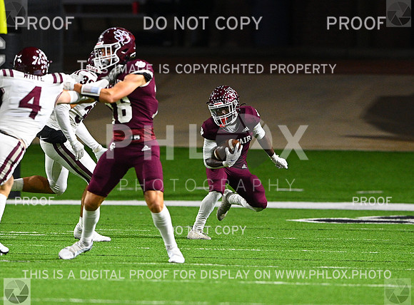DLS_8452