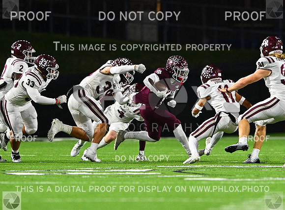 DLS_7924