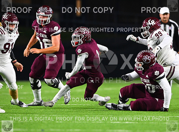 DLS_7638-2
