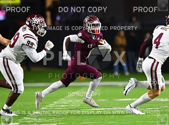 DLS_7642-2