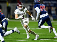 DLS_4909