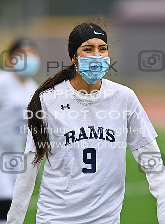 DLS_0519