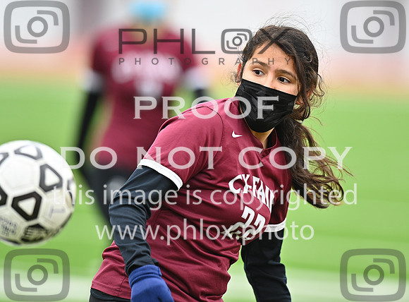 DLS_0522