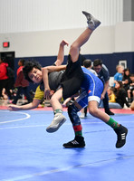 CLM_0833-2