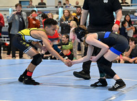 CLM_0478-2