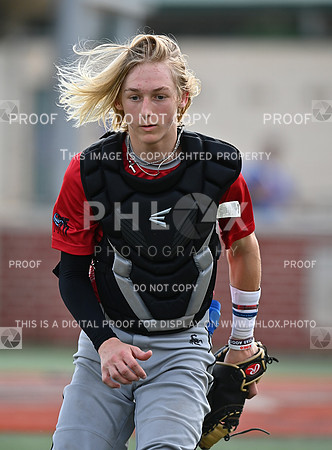 DLS_0394