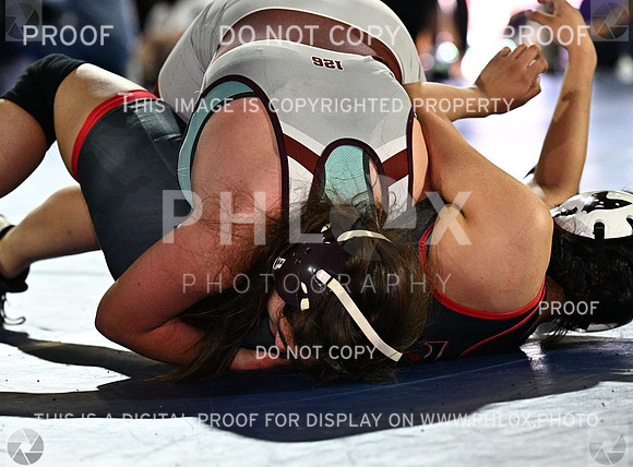 DLS_8191