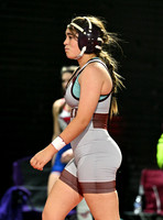 DLS_7308