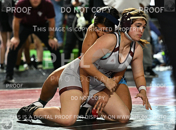 DLS_7749
