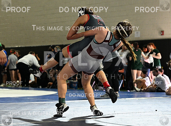 DLS_8132