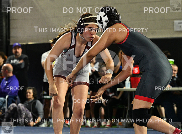 DLS_8100