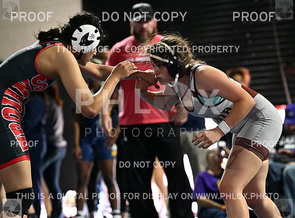 DLS_8170