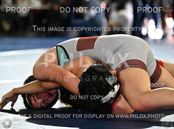 DLS_8203