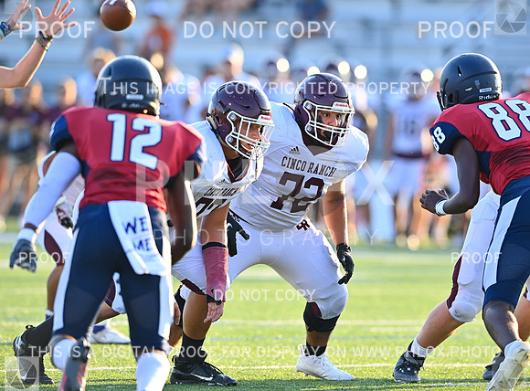 DLS_0054
