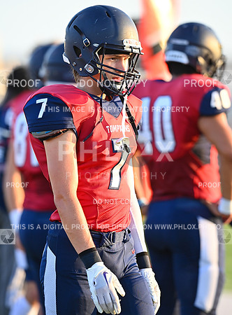 DLS_0095
