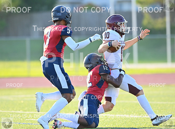 DLS_0046