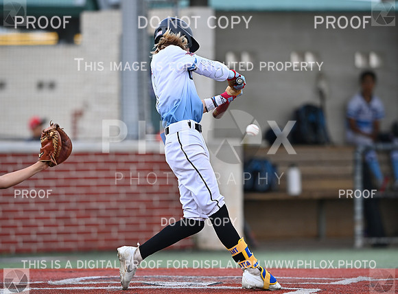 DLS_0985