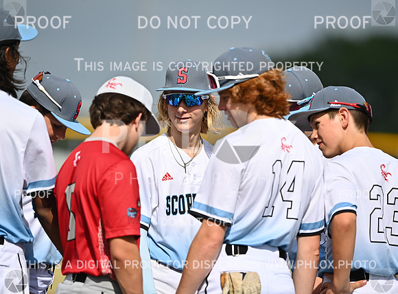 DLS_0793