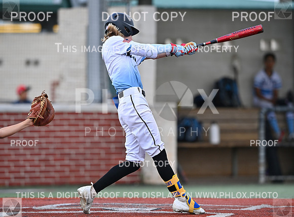 DLS_0986