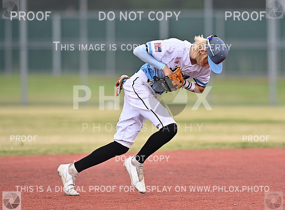 DLS_1362