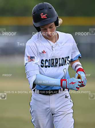 DLS_0994