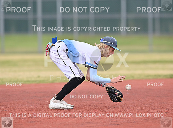 DLS_1361